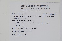 臺灣赤楊、臺灣榿木藏品圖，第2張