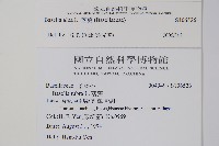 落葵藏品圖，第2張