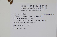 假海馬齒藏品圖，第2張