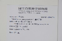 假海馬齒藏品圖，第2張