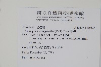 番杏藏品圖，第2張