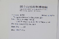 番杏藏品圖，第2張