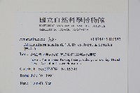 蓮子草藏品圖，第2張