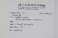 登錄號:S106588藏品圖，第2張