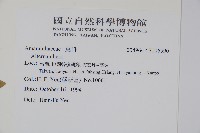 登錄號:S106590藏品圖，第2張