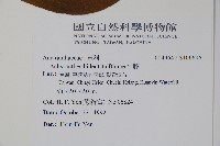 牛膝藏品圖，第2張