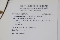 瓣立羅林果藏品圖，第2張