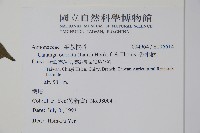 香水樹藏品圖，第2張