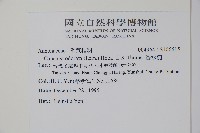 香水樹藏品圖，第2張