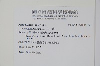 牛心梨藏品圖，第2張