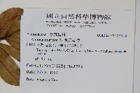 刺番荔枝藏品圖，第2張