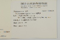 變葉藜藏品圖，第2張