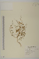 登錄號:S106639藏品圖，第1張