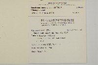 裸花鹼蓬藏品圖，第2張