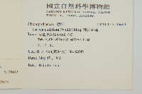 裸花鹼蓬藏品圖，第2張