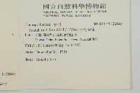 裸花鹼蓬藏品圖，第2張