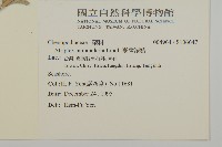 臺灣濱藜藏品圖，第2張