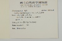 馬氏濱藜藏品圖，第2張