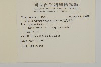 馬氏濱藜藏品圖，第2張