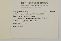 馬氏濱藜藏品圖，第2張