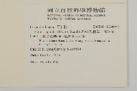 瓜槌草、漆姑草藏品圖，第2張