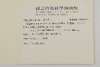 瓜槌草、漆姑草藏品圖，第2張