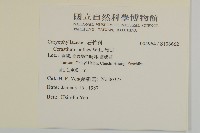 卷耳藏品圖，第2張