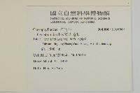 卷耳藏品圖，第2張