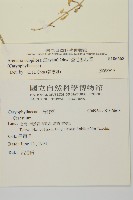 亞毛無心菜藏品圖，第2張