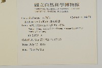 疏花繁縷藏品圖，第2張