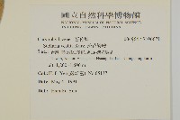 疏花繁縷藏品圖，第2張