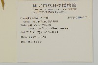 疏花繁縷藏品圖，第2張