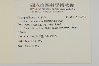 網脈繁縷藏品圖，第2張