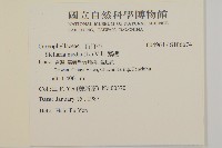 繁縷藏品圖，第2張