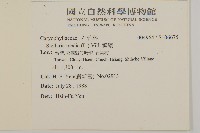 繁縷藏品圖，第2張