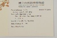 繁縷藏品圖，第2張