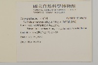 阿里山繁縷藏品圖，第2張