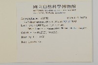 阿里山繁縷藏品圖，第2張