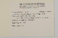 阿里山繁縷藏品圖，第2張