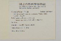 天蓬草、雀舌草藏品圖，第2張