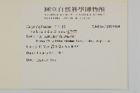 雀舌草藏品圖，第2張