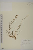 登錄號:S106690藏品圖，第1張