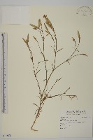 登錄號:S106691藏品圖，第1張