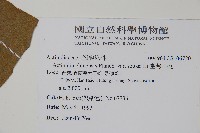 臺灣羊桃藏品圖，第2張
