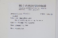 登錄號:S106725藏品圖，第2張