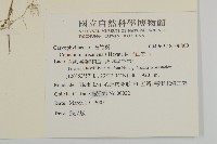 阿里山卷耳藏品圖，第2張