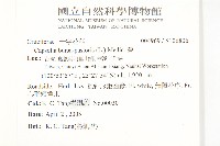 薺藏品圖，第2張