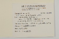 臺灣草莓藏品圖，第2張