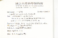 薺藏品圖，第2張