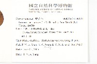 馬鞍藤藏品圖，第2張